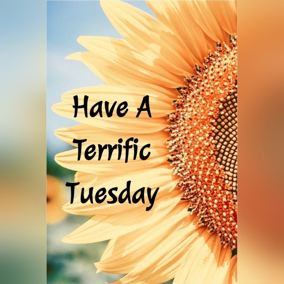 °◇SHOW LISTING◇° - Picture 9 of 16